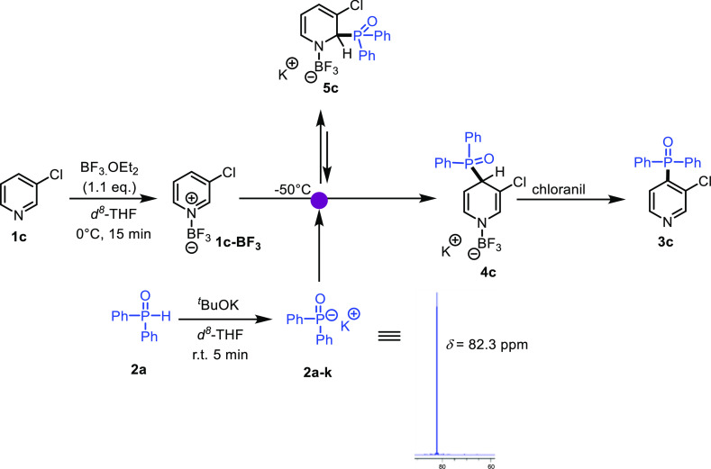 Scheme 2