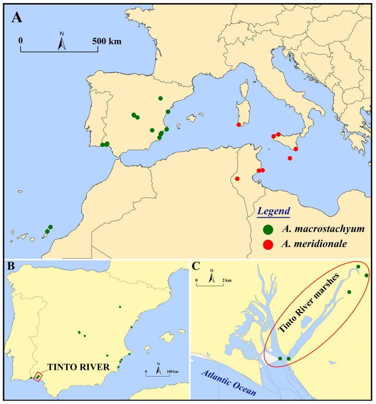 Figure 12