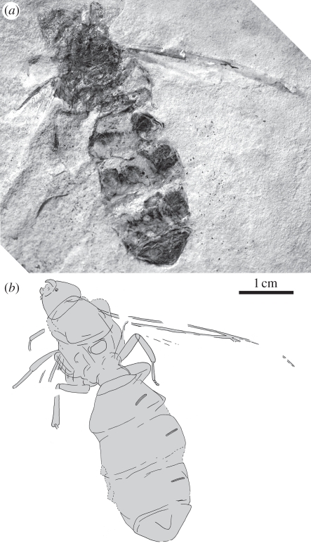 Figure 2.