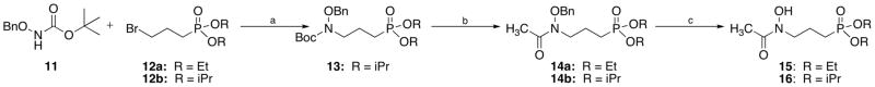 Scheme 2