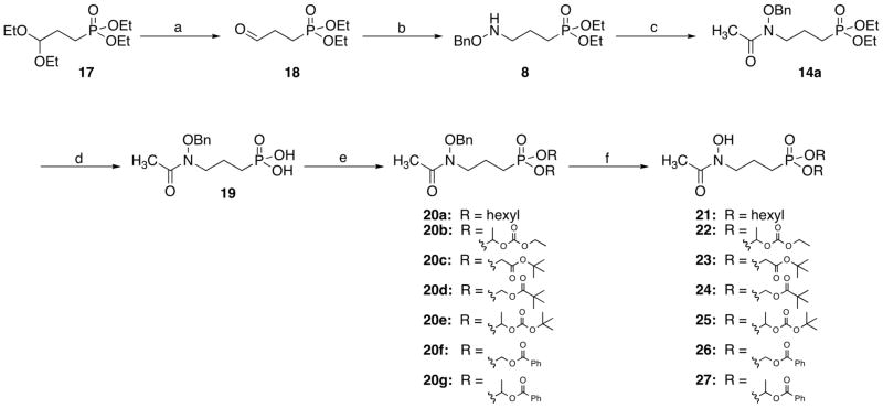 Scheme 3