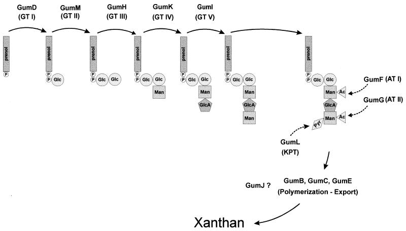 FIG. 7