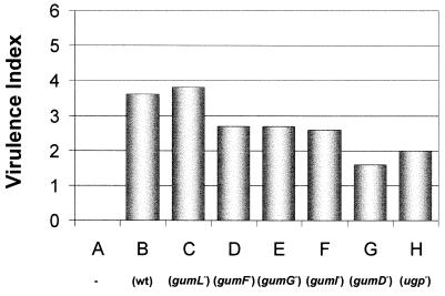 FIG. 6