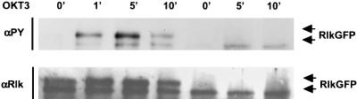 FIG. 11