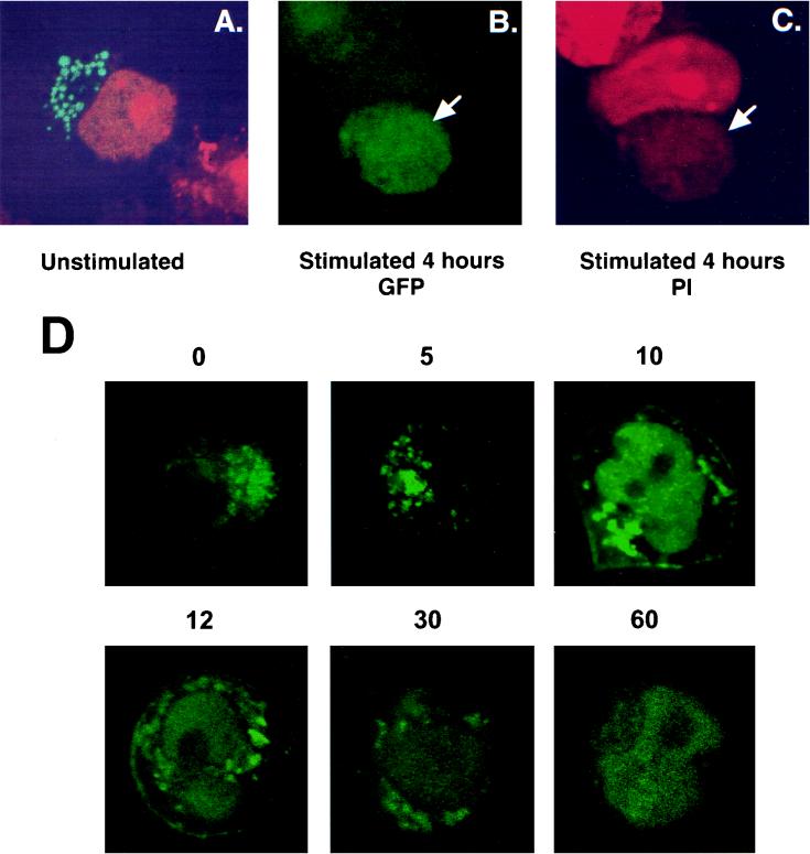 FIG. 12