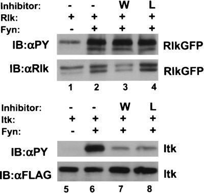 FIG. 10