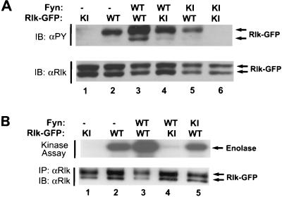 FIG. 9