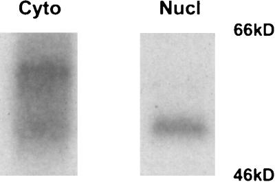 FIG. 7