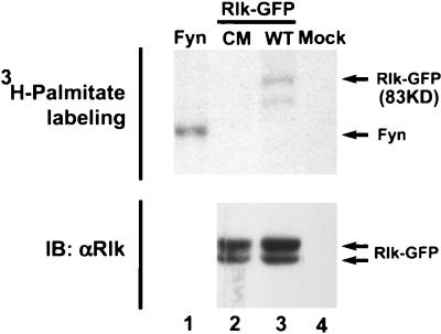 FIG. 8