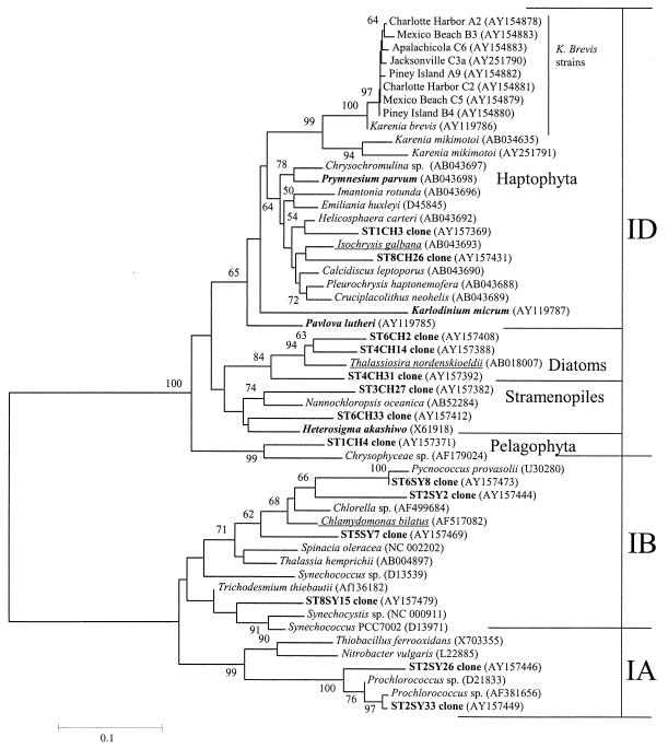 FIG. 1.