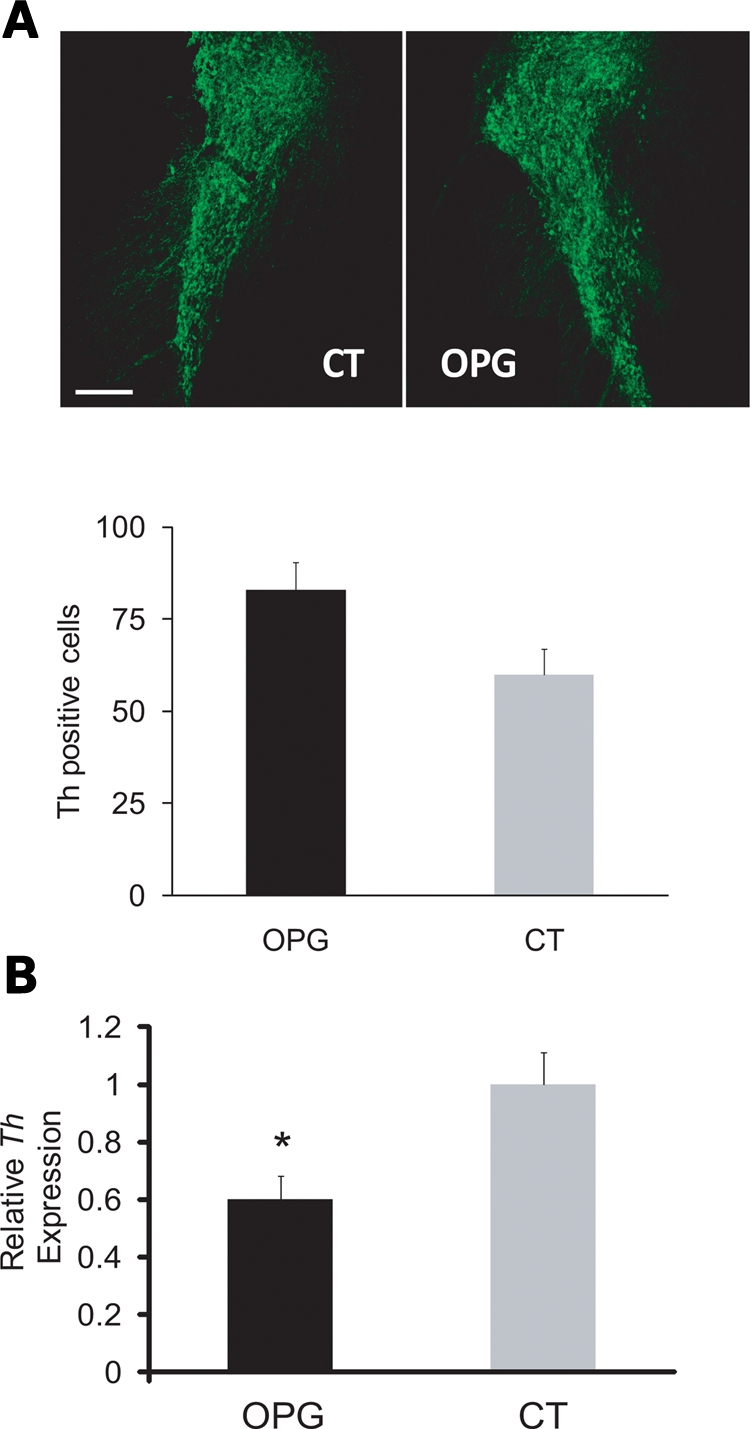 Figure 7.