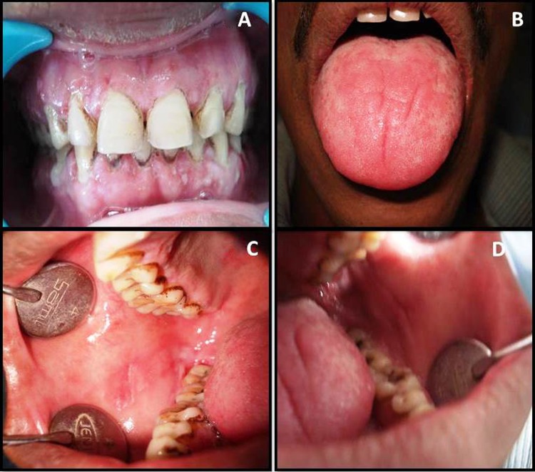 Figure 2