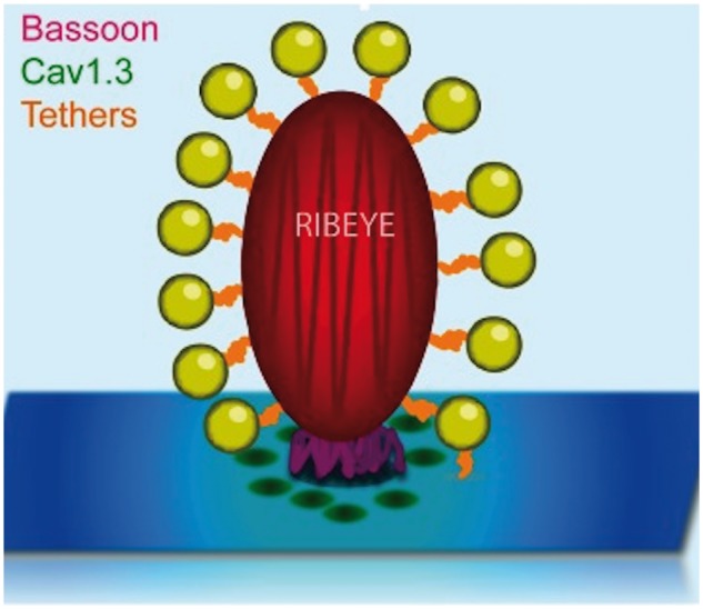 Fig. 3