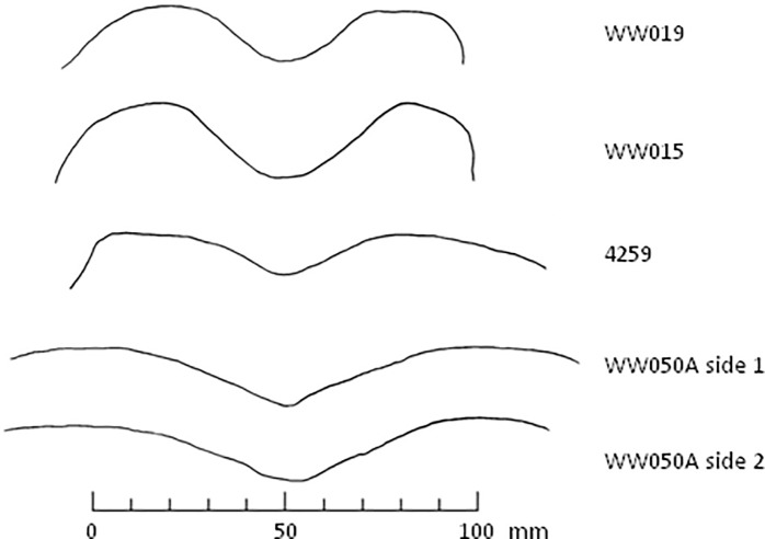 Fig 10