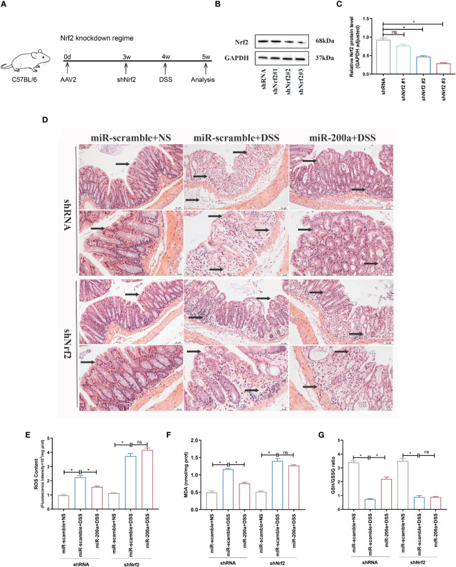 Figure 7