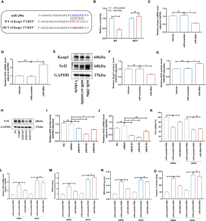 Figure 6