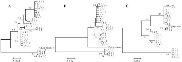 Figure  6