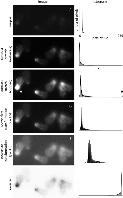 FIGURE 1: