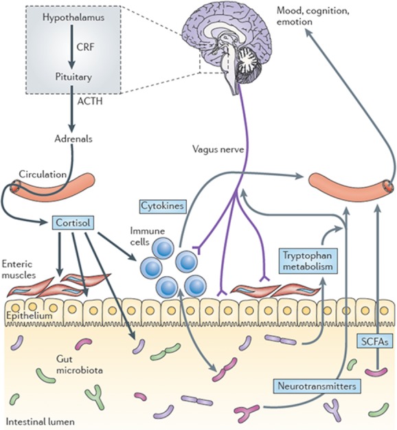 Fig 4