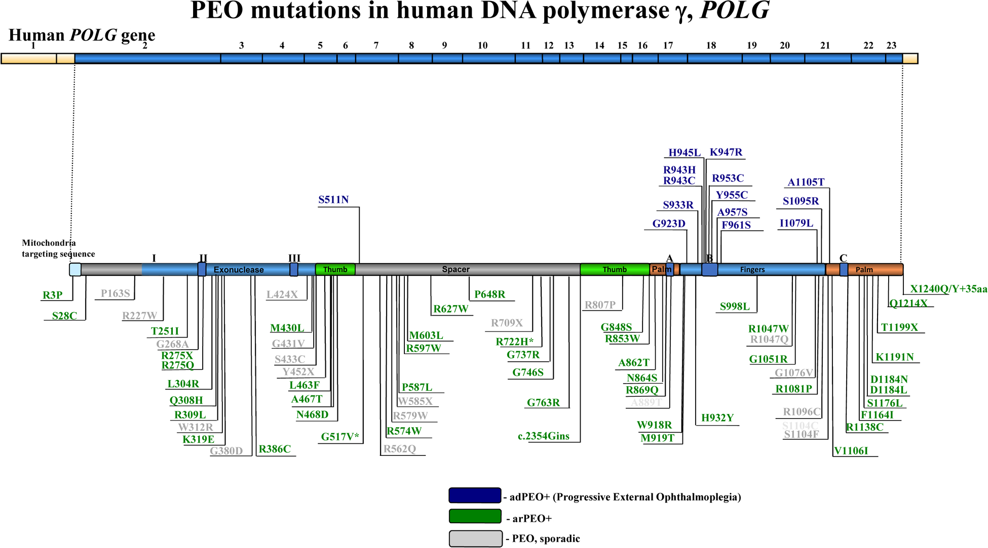 Figure 2 |