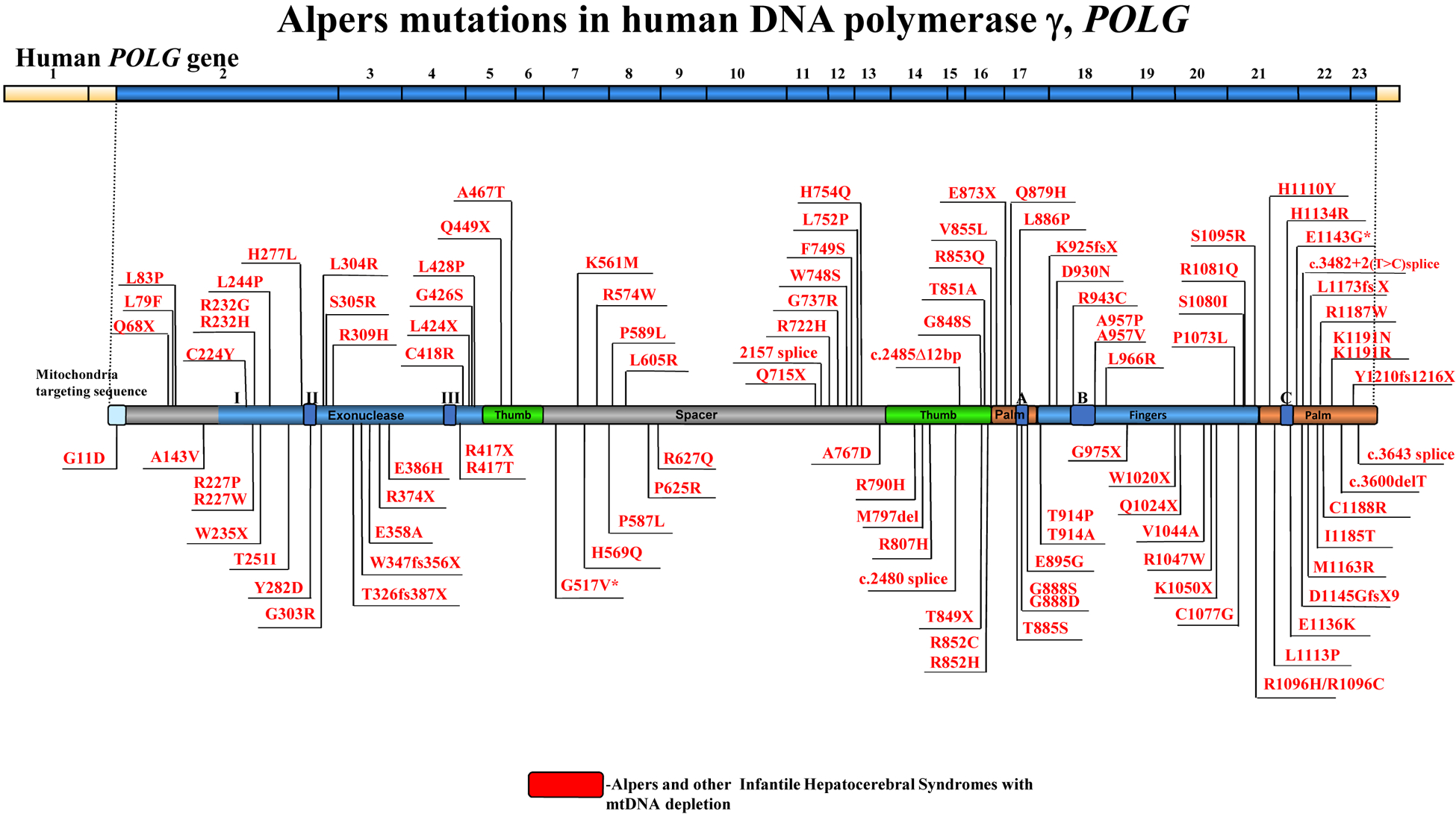 Figure 2 |