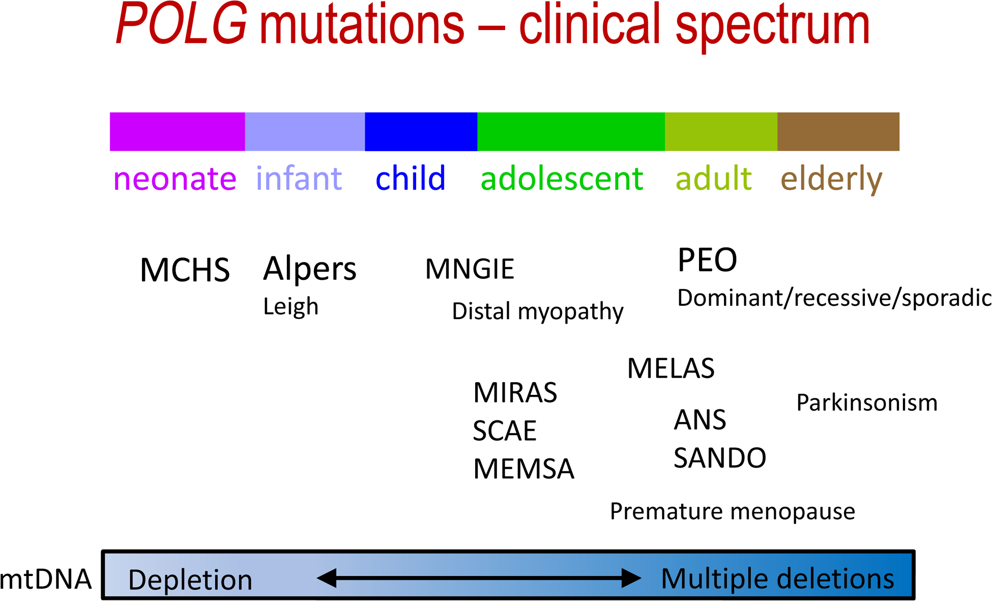 Figure 1 |