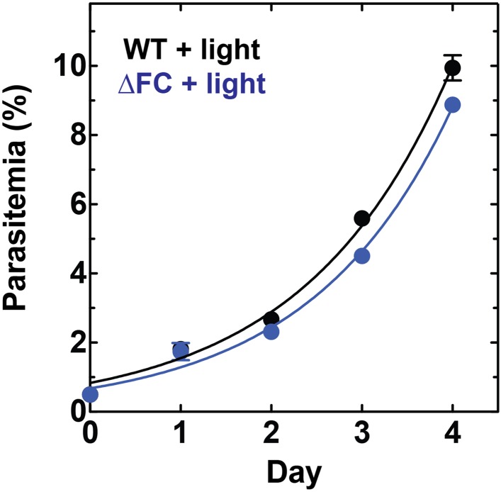 Figure 6—figure supplement 1.