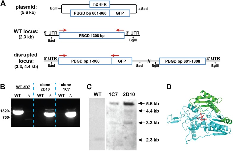 Figure 2—figure supplement 3.