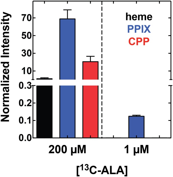 Figure 4—figure supplement 1.