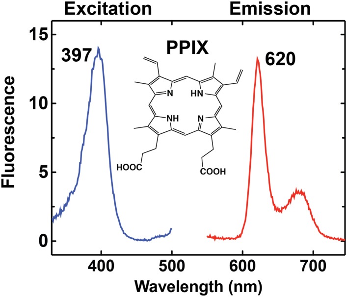 Figure 1—figure supplement 1.