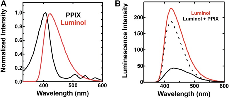 Figure 7—figure supplement 1.