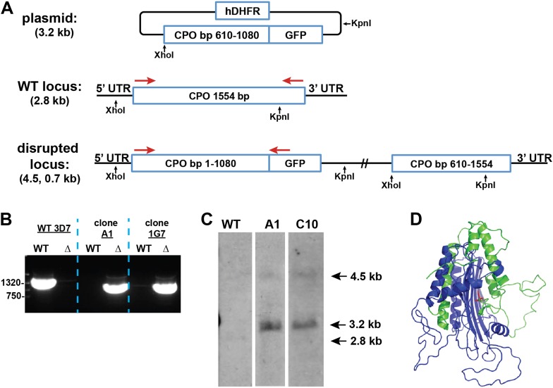 Figure 2—figure supplement 4.