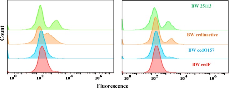 FIG 2