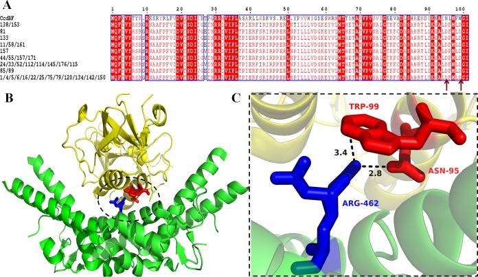 FIG 6