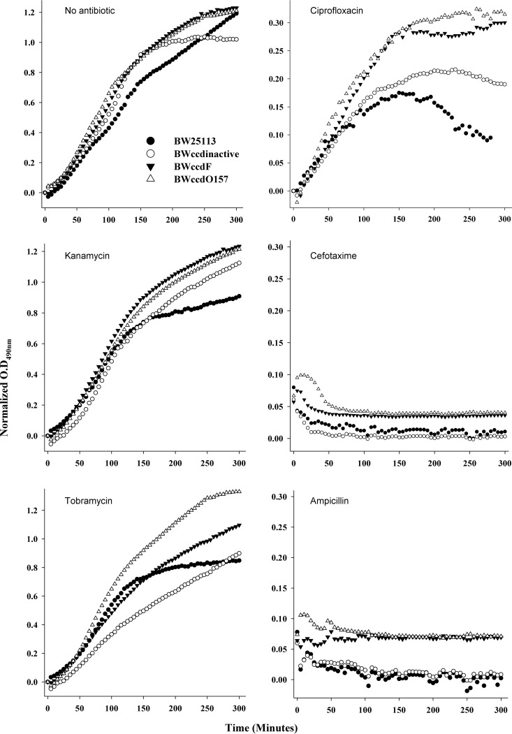 FIG 3