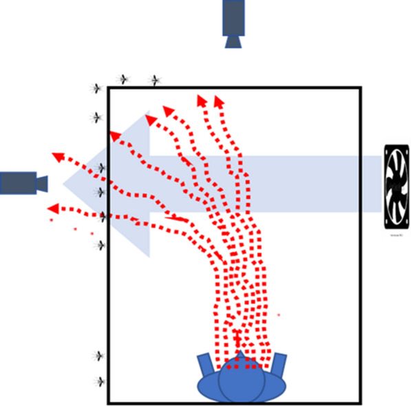 Fig. 10