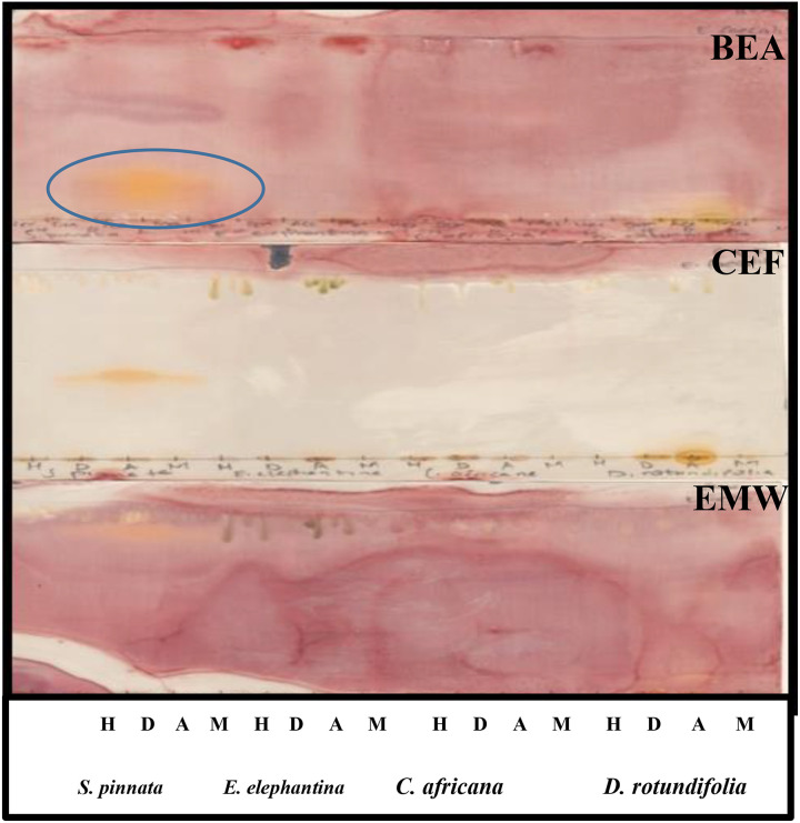 Figure 7.