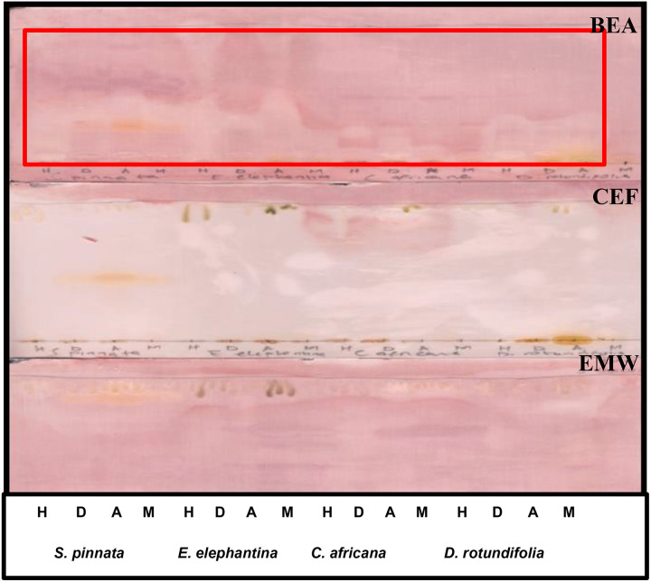 Figure 5.