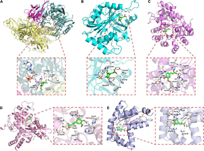 FIGURE 7