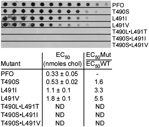 Fig. 4.