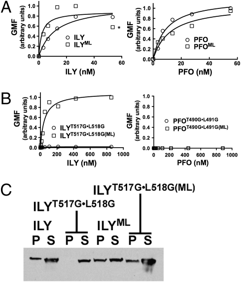 Fig. 5.