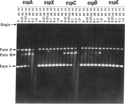 graphic file with name pnas00241-0021-a.jpg