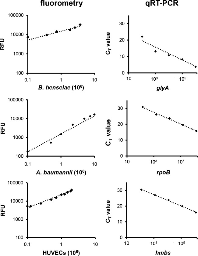 FIG 3