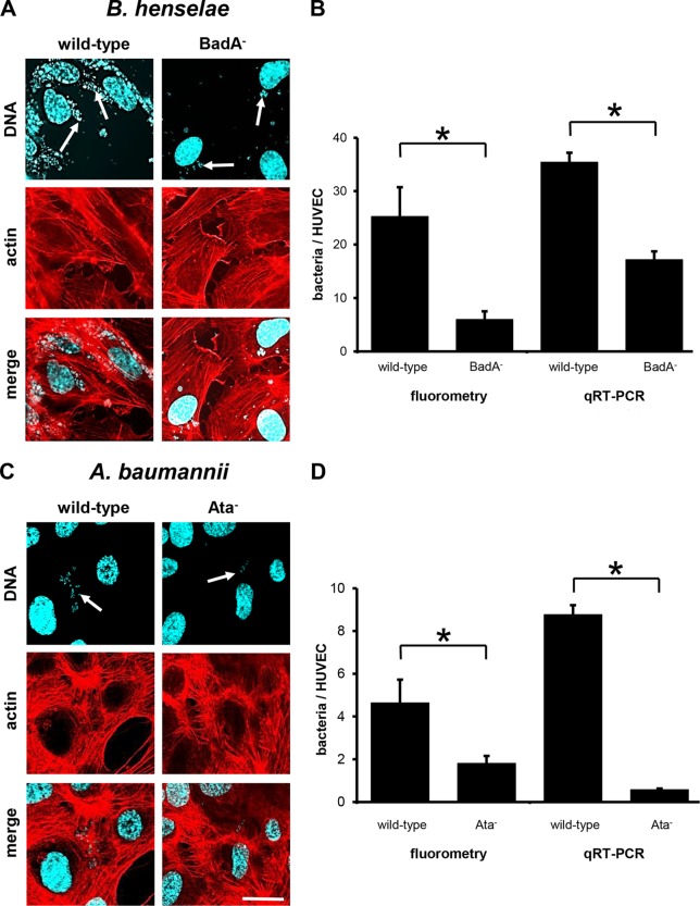 FIG 4