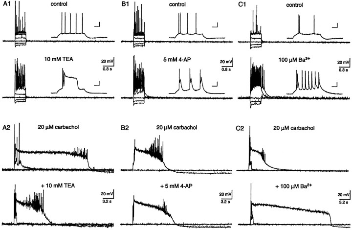 Fig. 10.