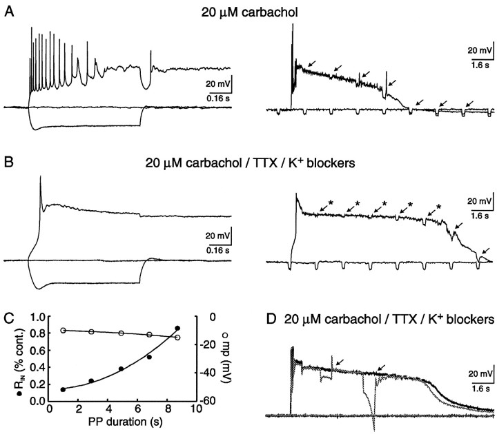 Fig. 11.