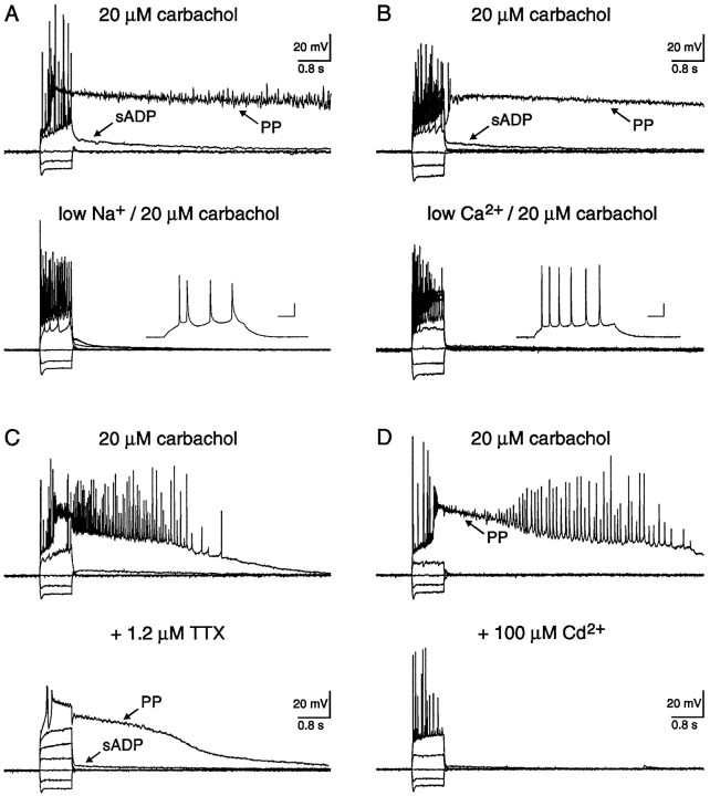 Fig. 5.