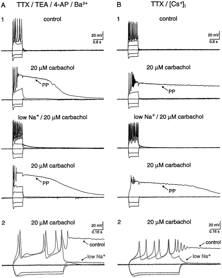 Fig. 8.