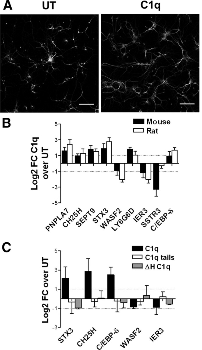 Figure 7.