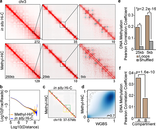 Fig.1